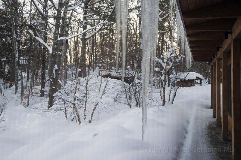 20080102_174541 D2X F.jpg - Winter scene, Happy Tails, Bridgton, Maine